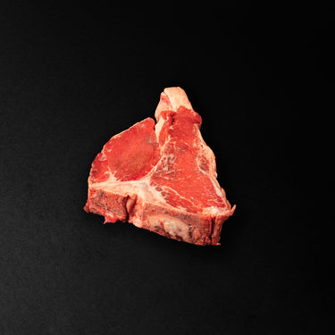FIORENTINA BISONTE